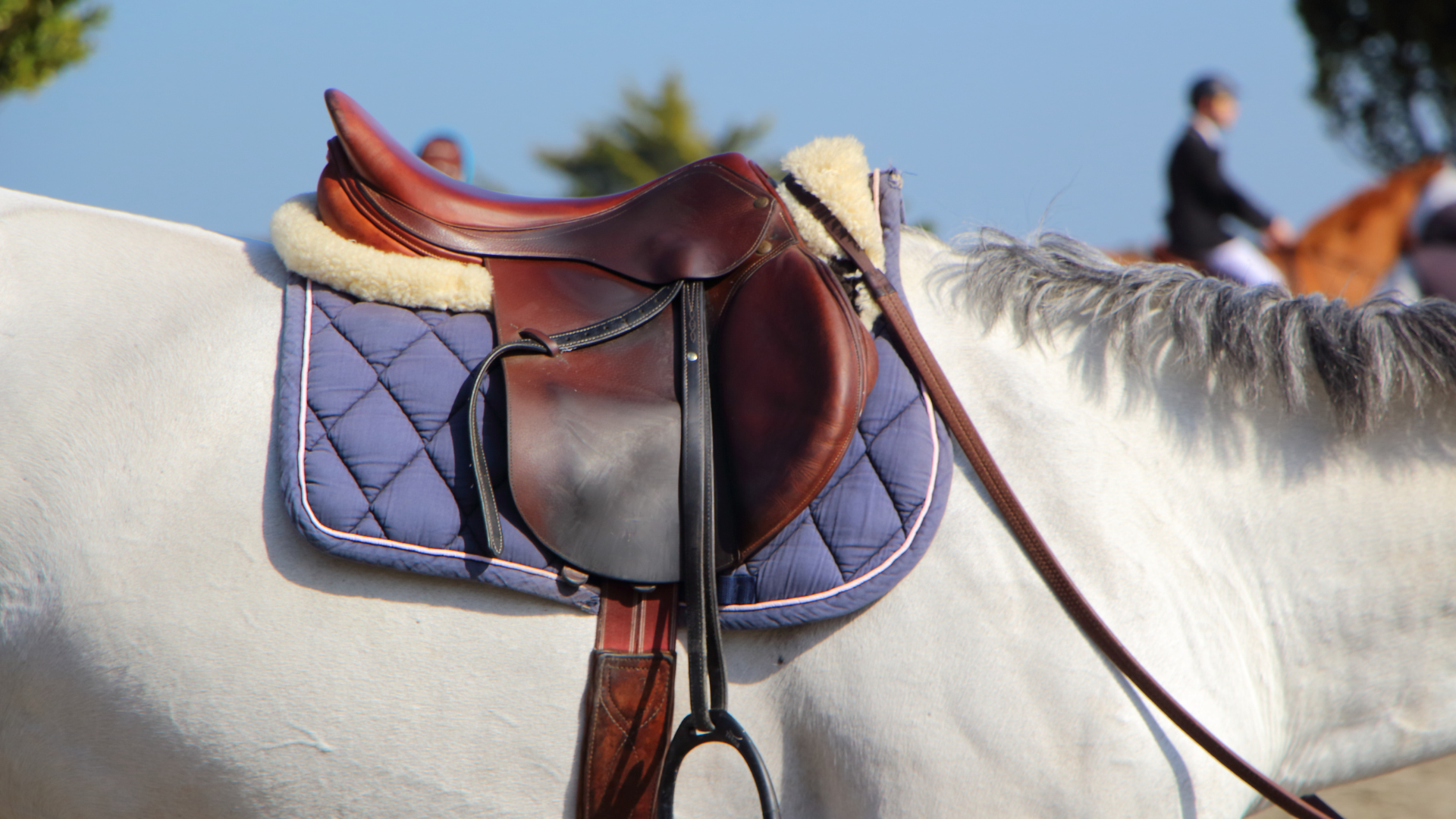How to Clean Saddle Pads: A Comprehensive Guide