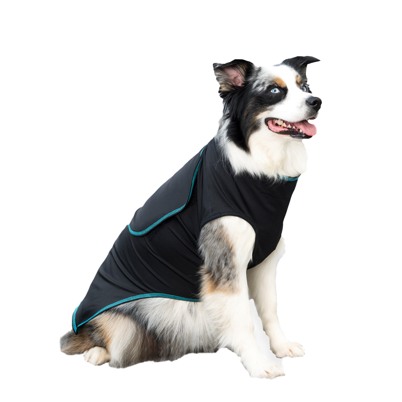 Canine Comfort & Care Shirt