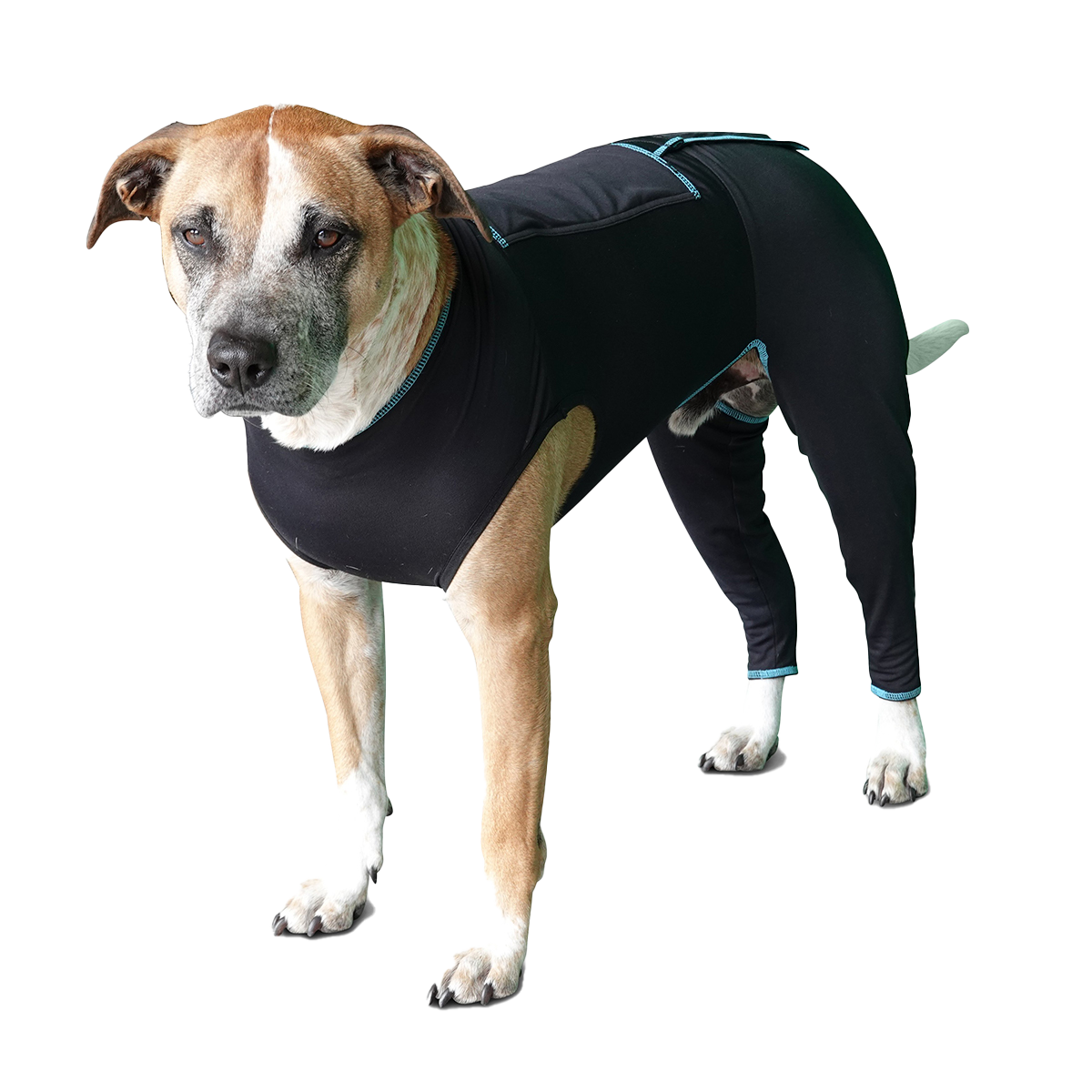 Canine Comfort Suit