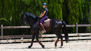 Don't Let Hock Pain Get You Down