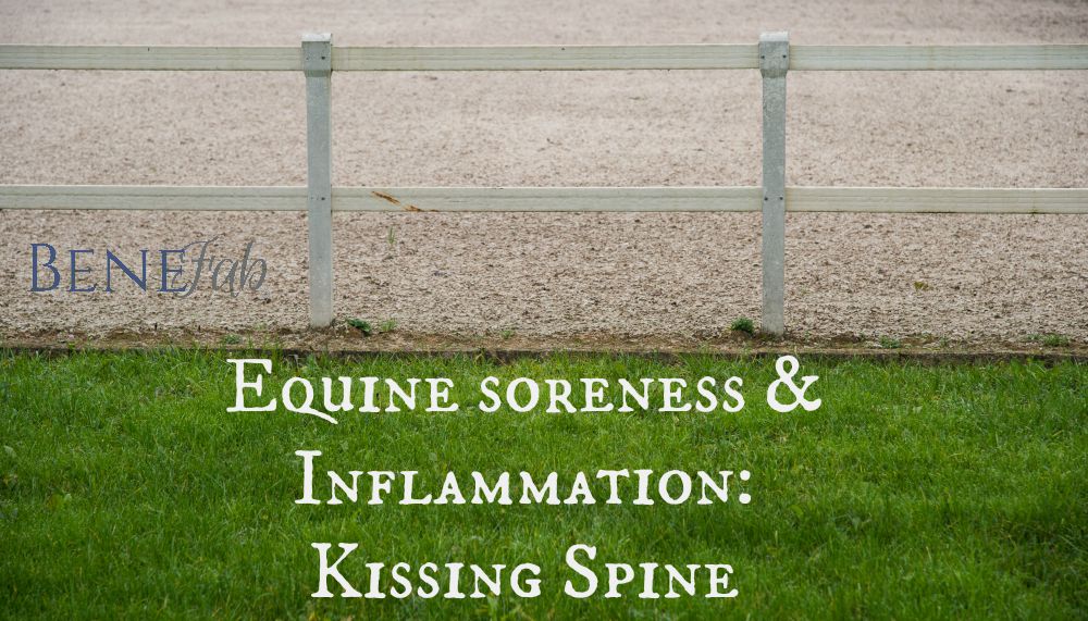 Equine Soreness & Inflammation: Kissing Spine