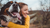 Adopting an Adult Dog: Benefits, Considerations, and Tips