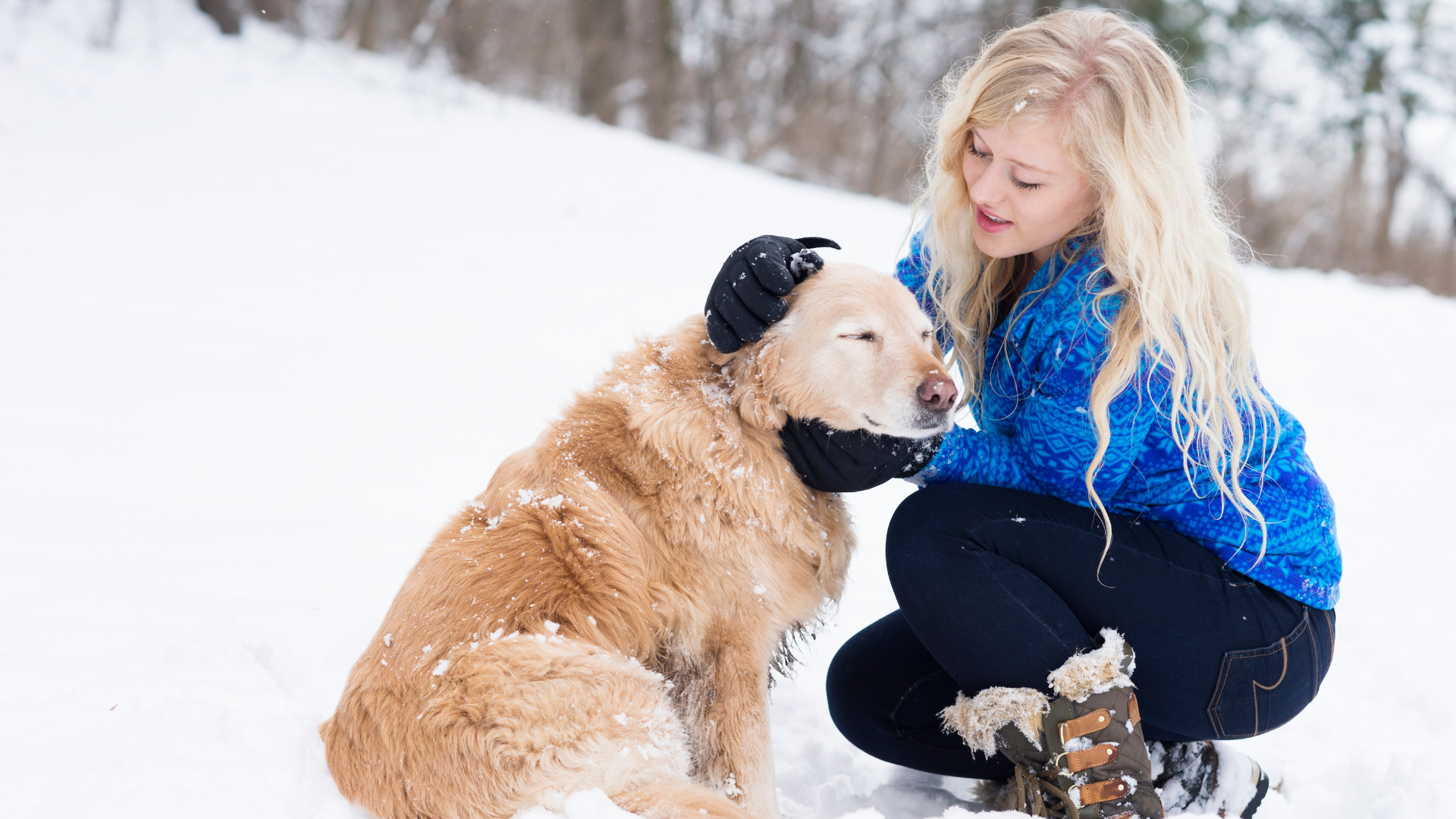 How Cold is Too Cold for Dogs?