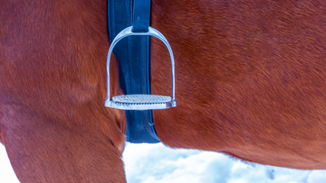 Edema in Horses: Causes + Treatment
