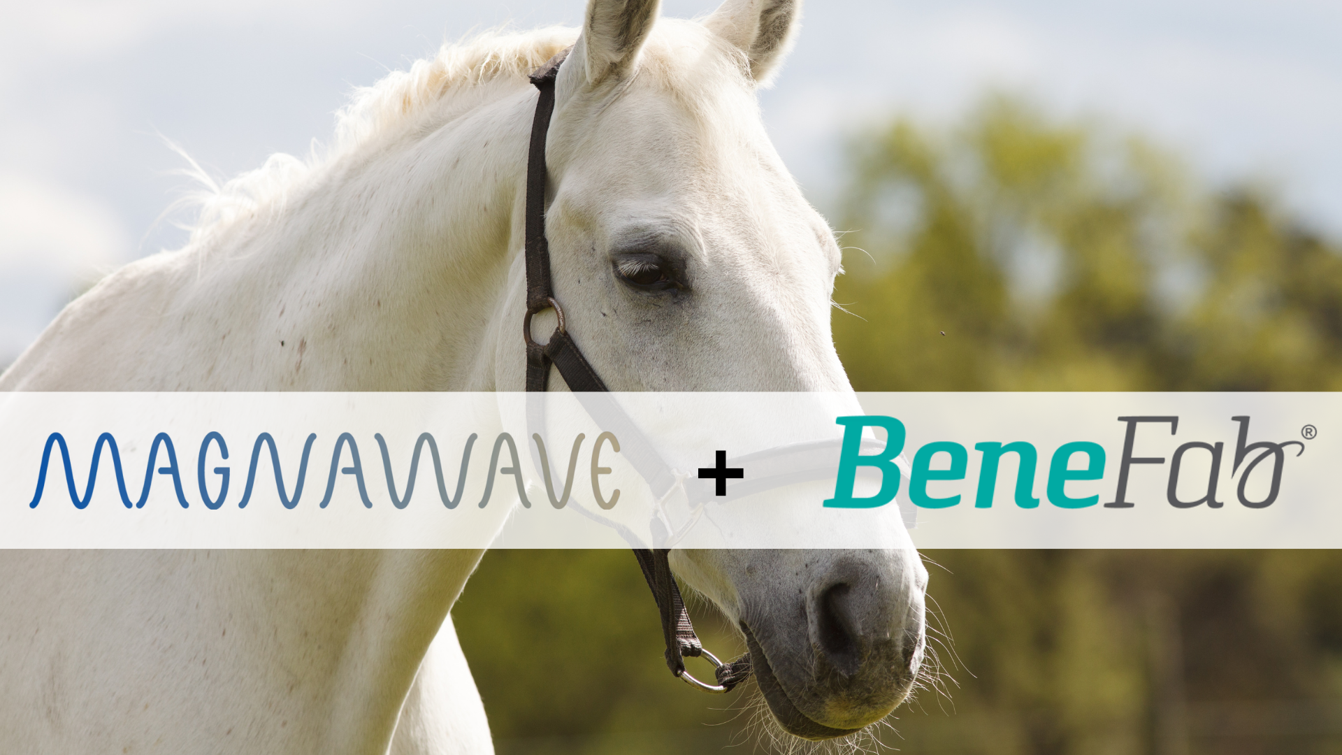 Magnawave + Benefab Announce Official Partnership