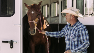 Tips to Trailer Your Horse with Ease: A Simplified Guide