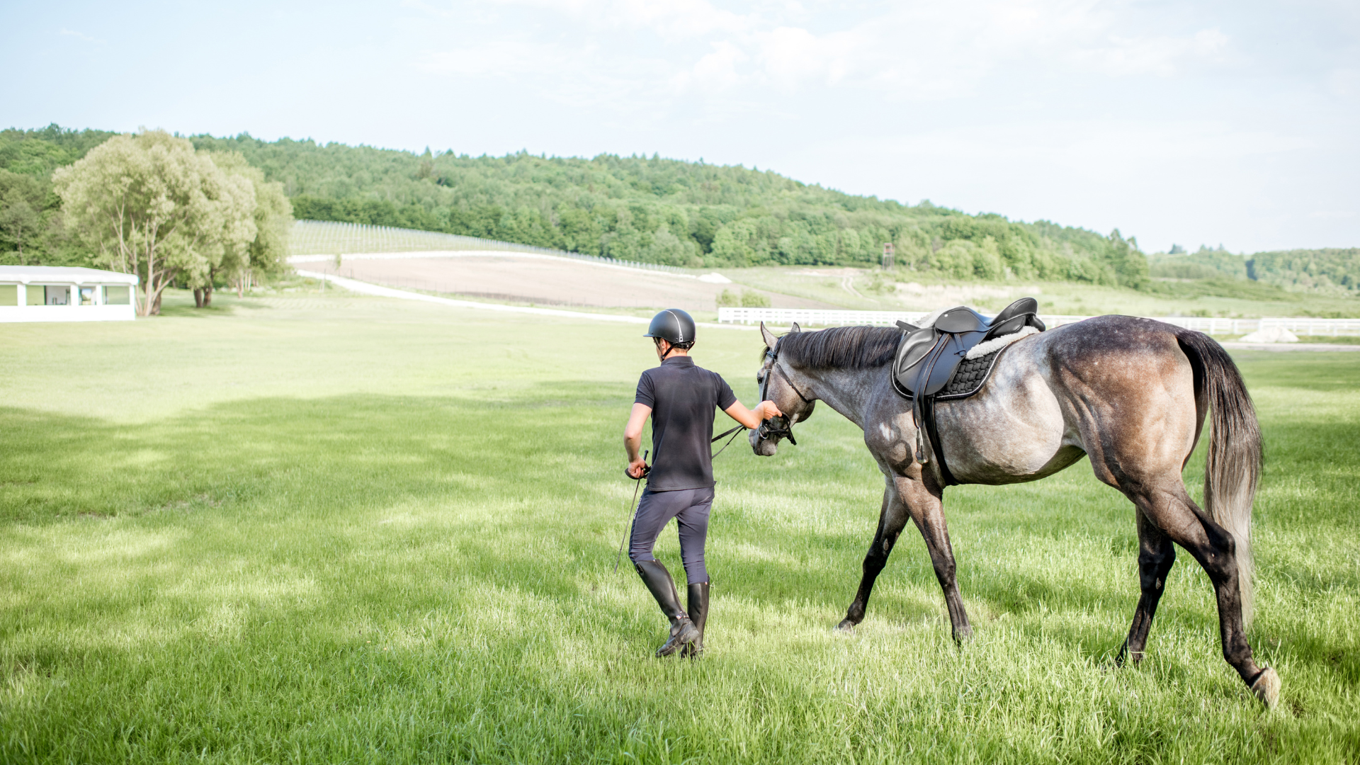 Essential Tips for Cooling Down Your Horse After Riding