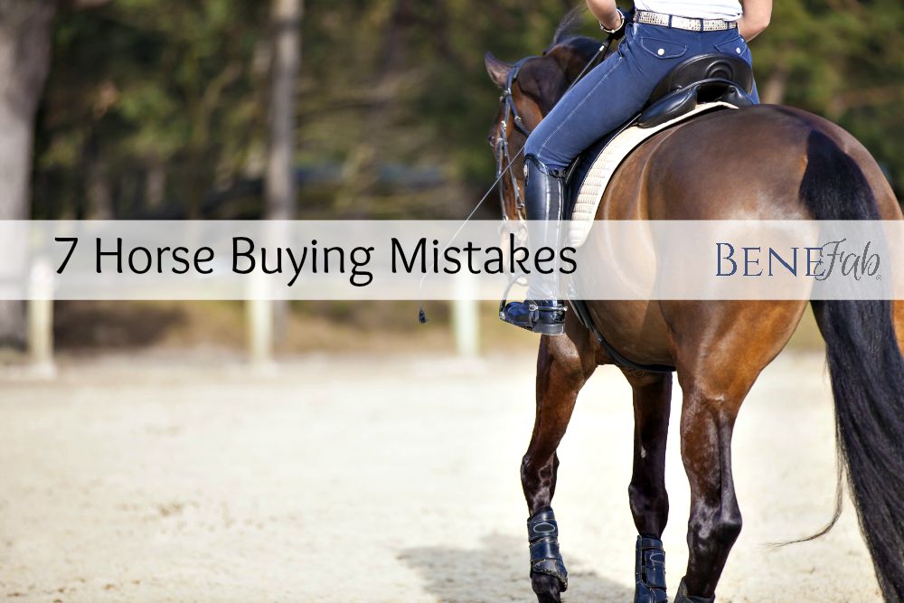 7 Horse Buying Mistakes