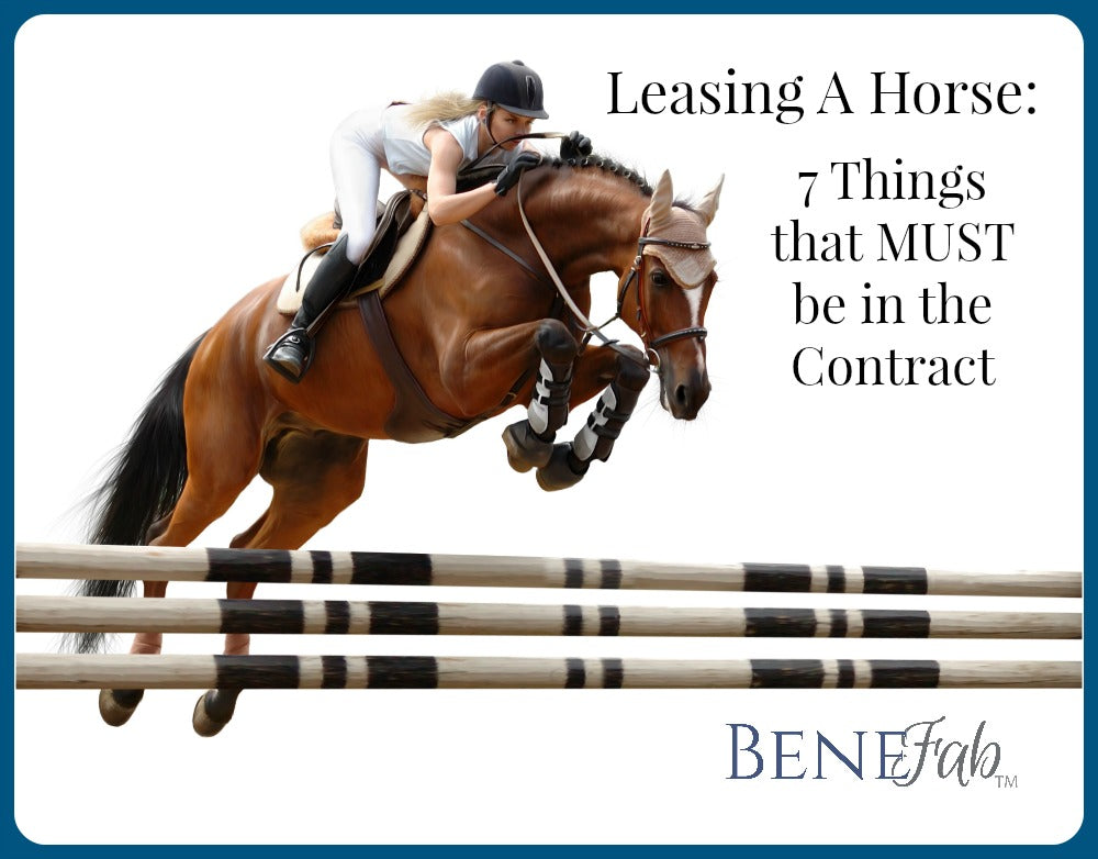 Leasing A Horse: 7 things that must be the contract