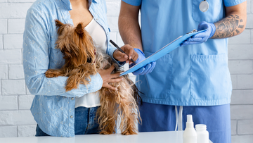 Dog Health Insurance: How Much Should You Expect to Pay?