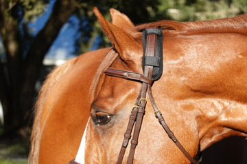 Preventing Tightness in Your Horse's Poll