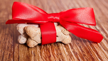 Five Homemade Treats for Dogs