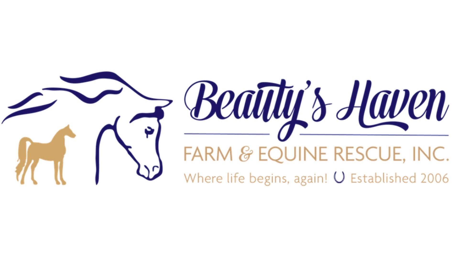 Beauty’s Haven Rescue Shines a Light in Florida