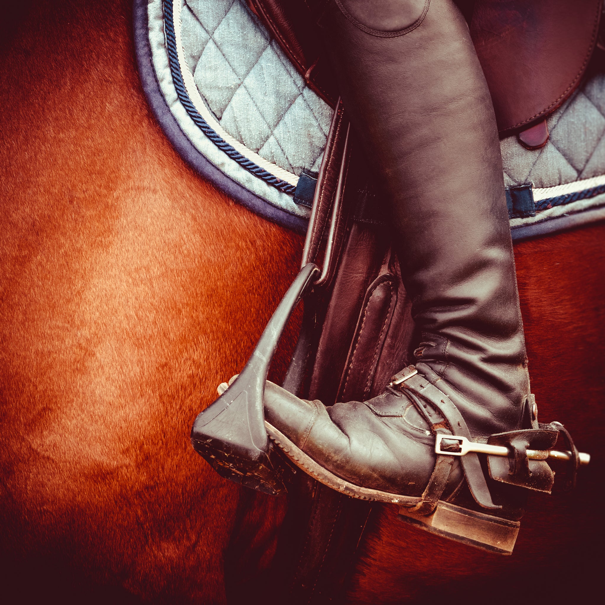 Does Your Girth Fit Your Horse?