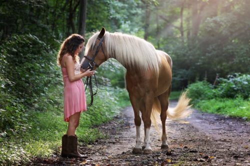 4 Great Ways to Celebrate Friendship Day with Your Horse