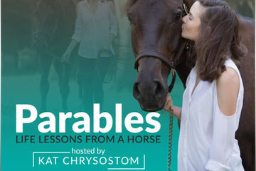Welcome to Parables: Life Lessons From A Horse!