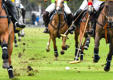 To use Polo Wraps or Not?