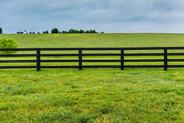 Manure Management: Comprehensive Guide to Cleaning Your Horse Property