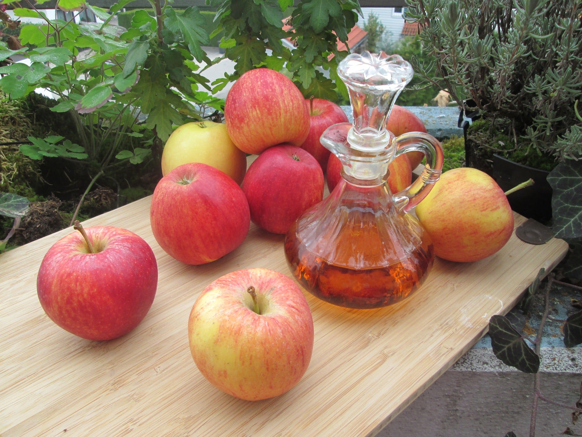 5 Benefits of Apple Cider Vinegar for Horses