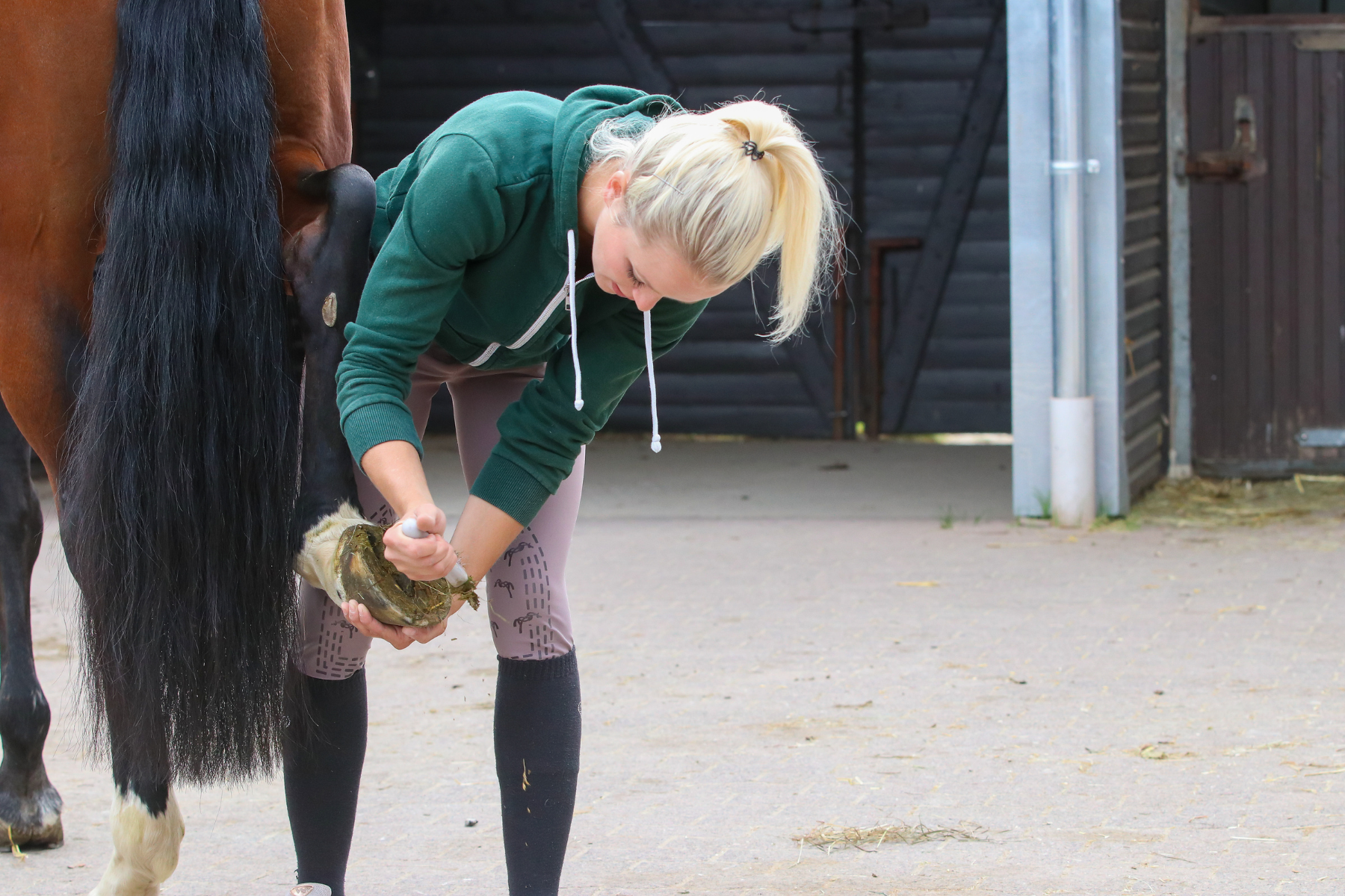 How to Prevent Lameness in Your Horse