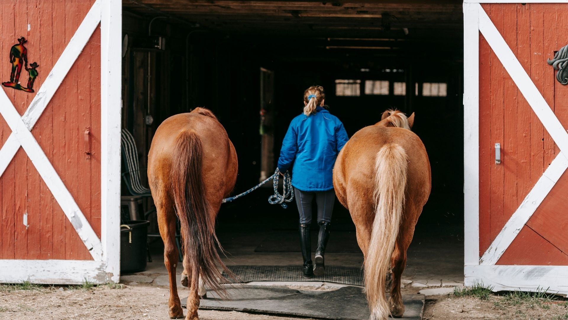 Being Mindful With Your Barn Time