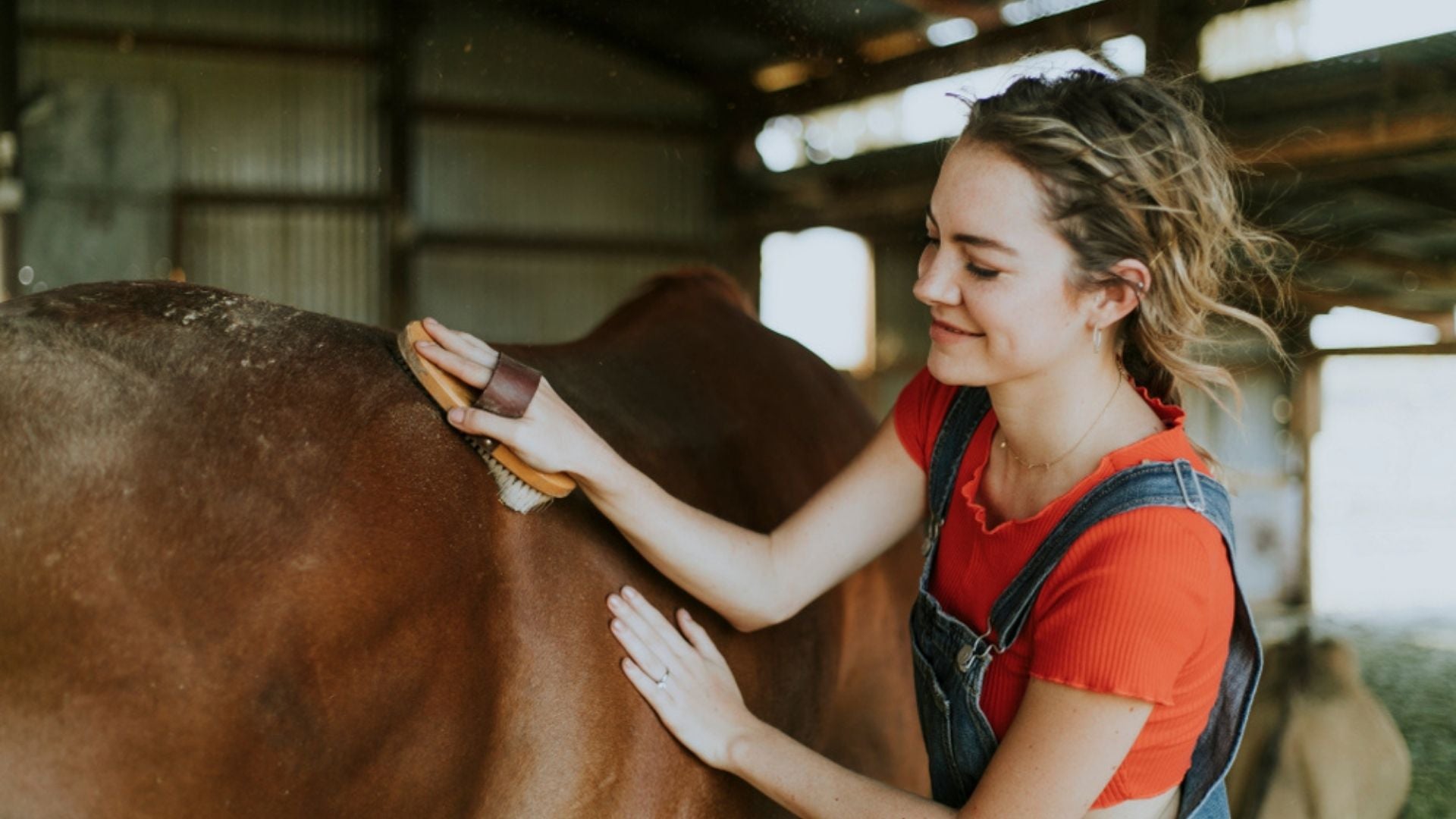 Shedding Season: 5 ways to groom for equine health