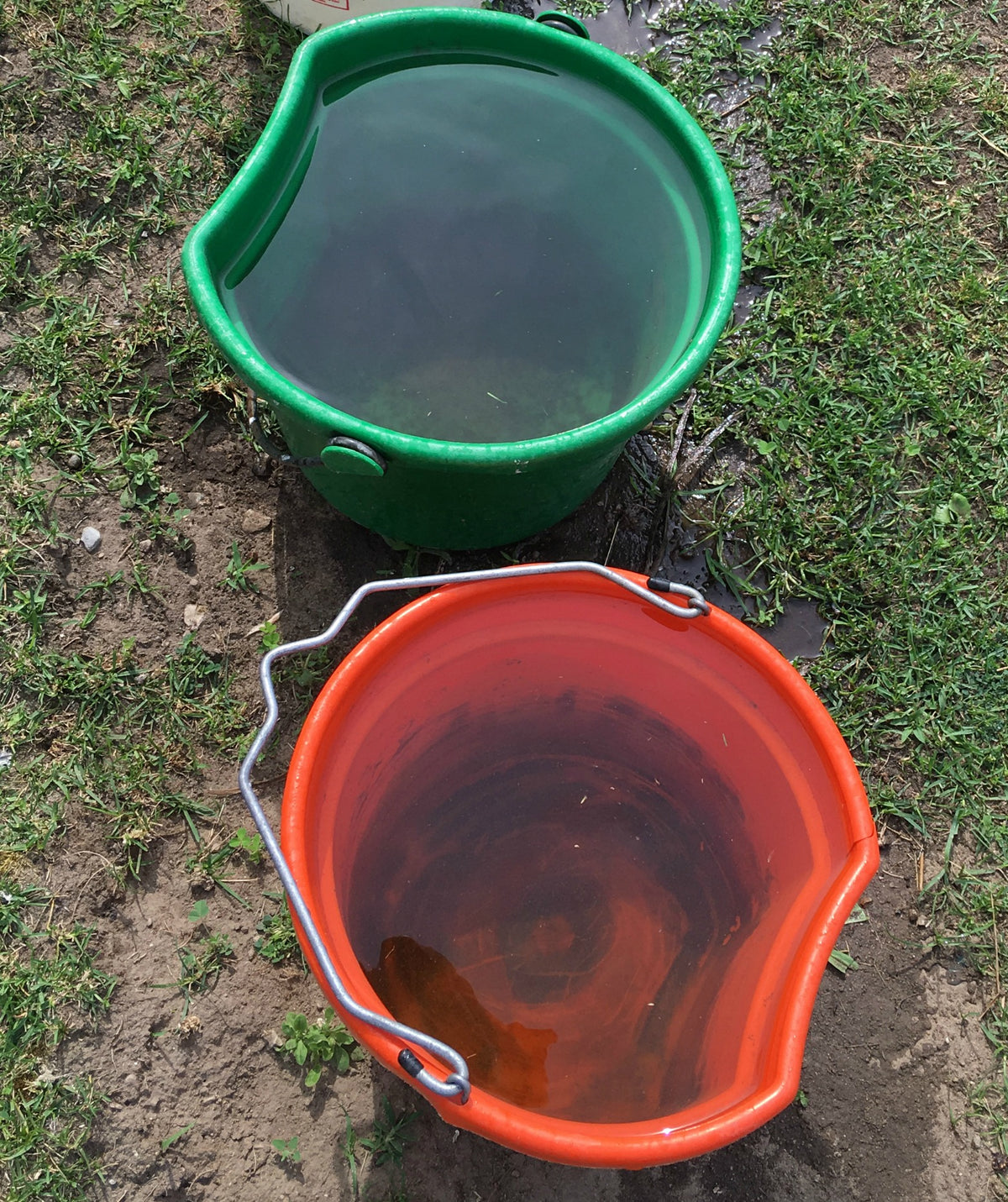 Tips on Keeping Your Horse Buckets Clean This Summer