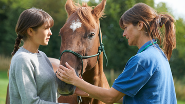 4 Ways to Keep Equine Records Organized