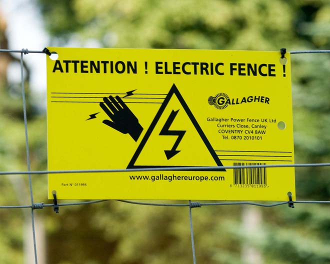 Training Your Horse To Electric Fencing