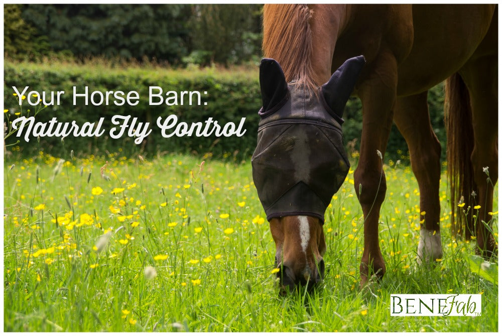 At your Horse Barn: Natural Fly Control