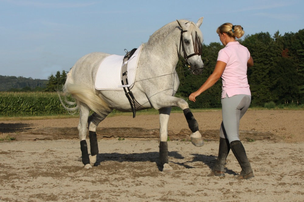 Setting New Year's Resolutions with Your Horse