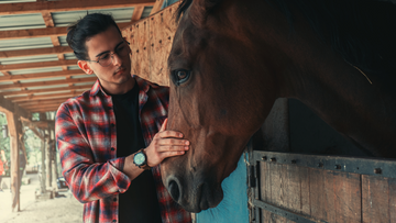 When Horses Are Healers: How Horses are Helping Veterans with Recovery