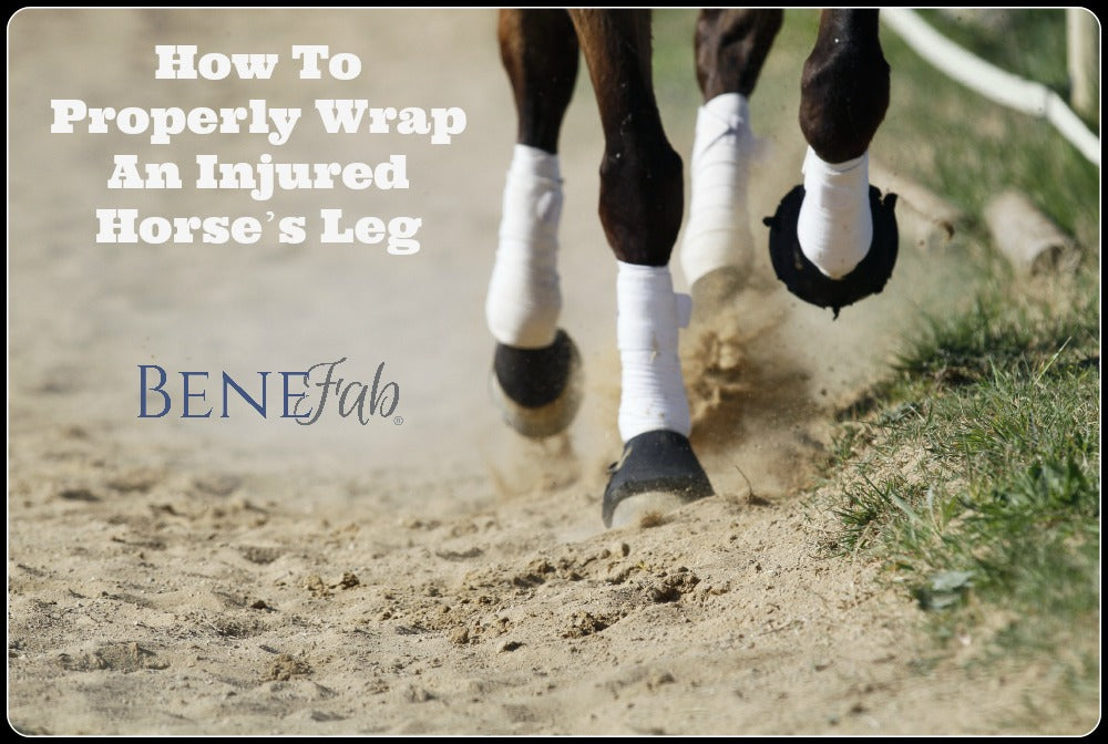 How To Properly Wrap An Injured Horse's Leg