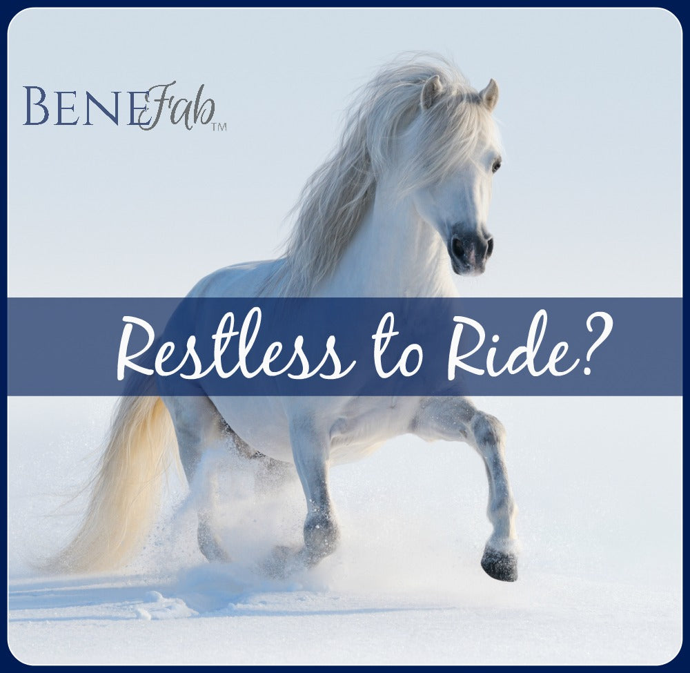 Horseback Riding in the Winter