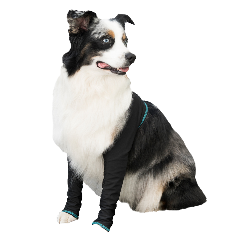 Canine Comfort & Care Sleeves