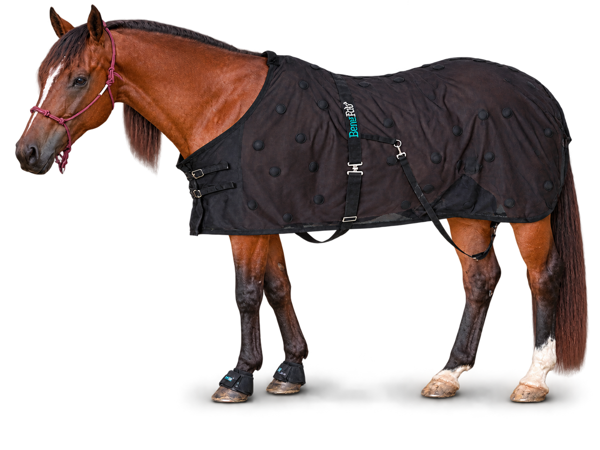 <i>Softer Back. <br>Better Circulation.<br> Everyday Recovery.</i>
