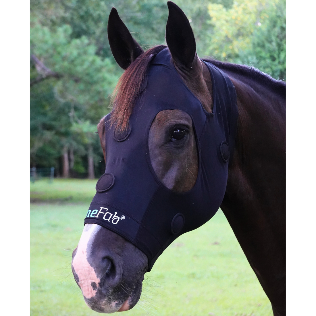 Rejuvenate SmartMask