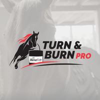 Turn & Burn PRO Sheets