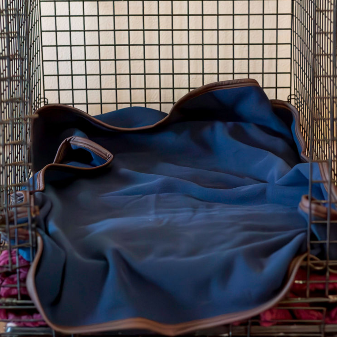 Therapeutic Dog Bed Liner