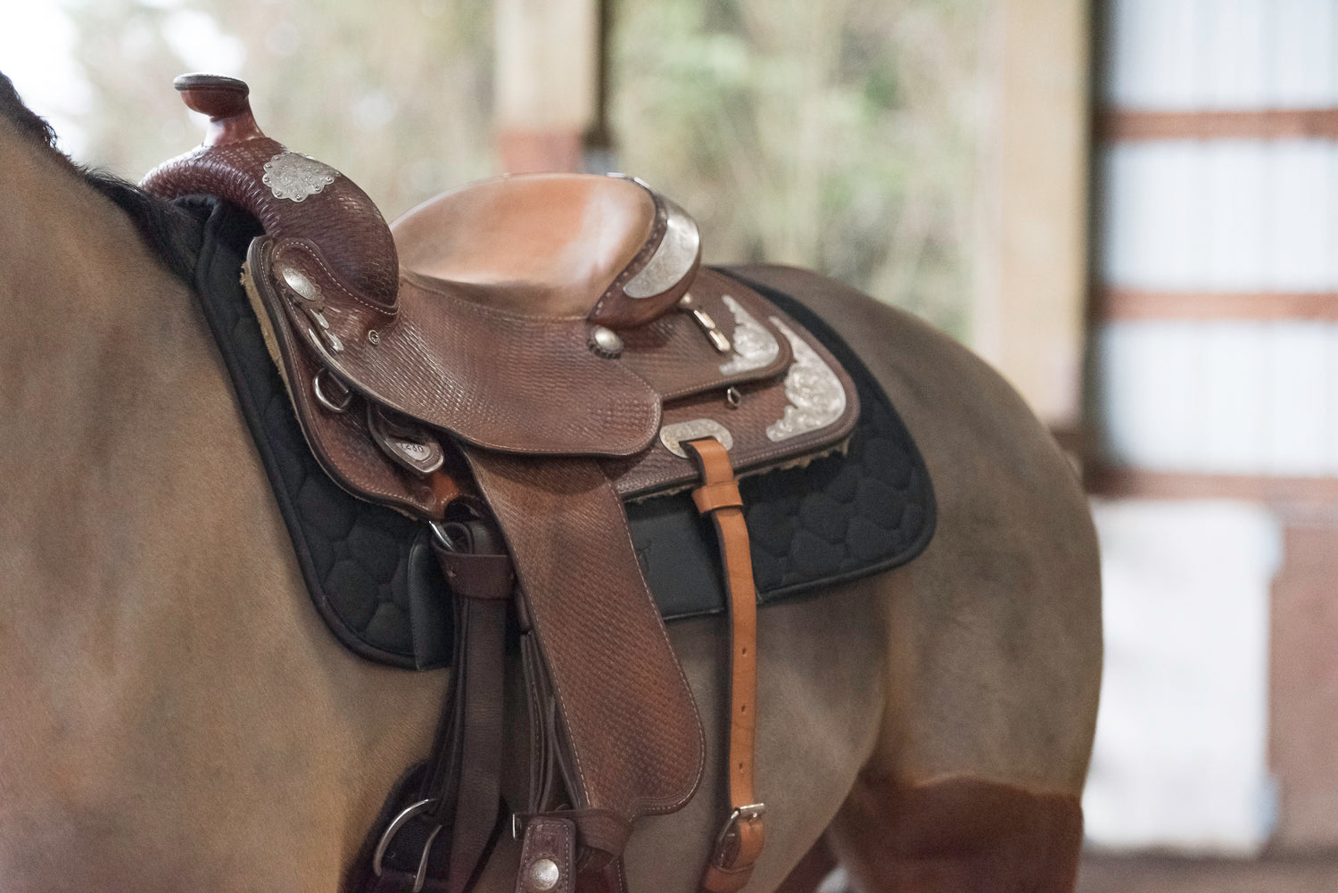 Therapeutic Horse Padded Shoulder Guard