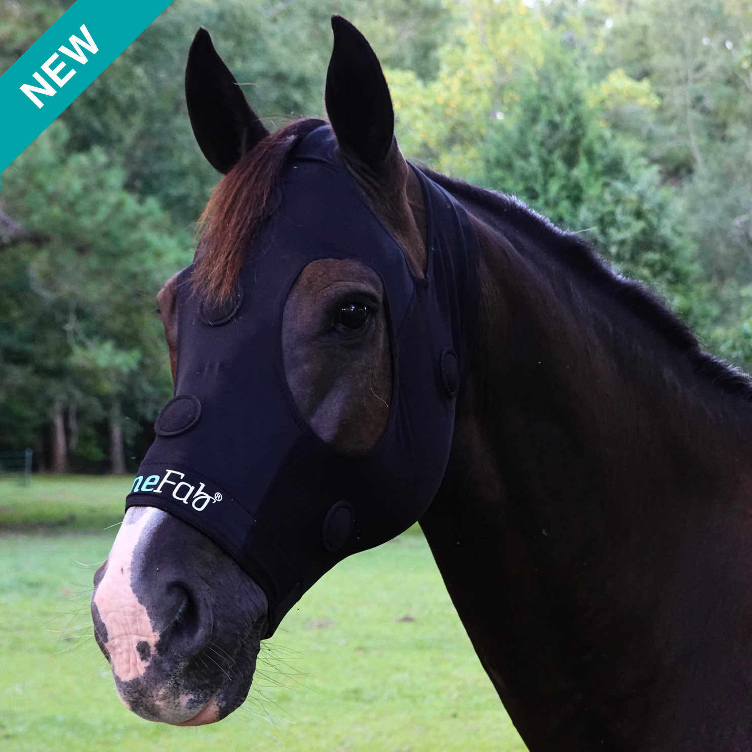 Rejuvenate SmartMask