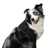 Canine Comfort &amp; Care Sleeves