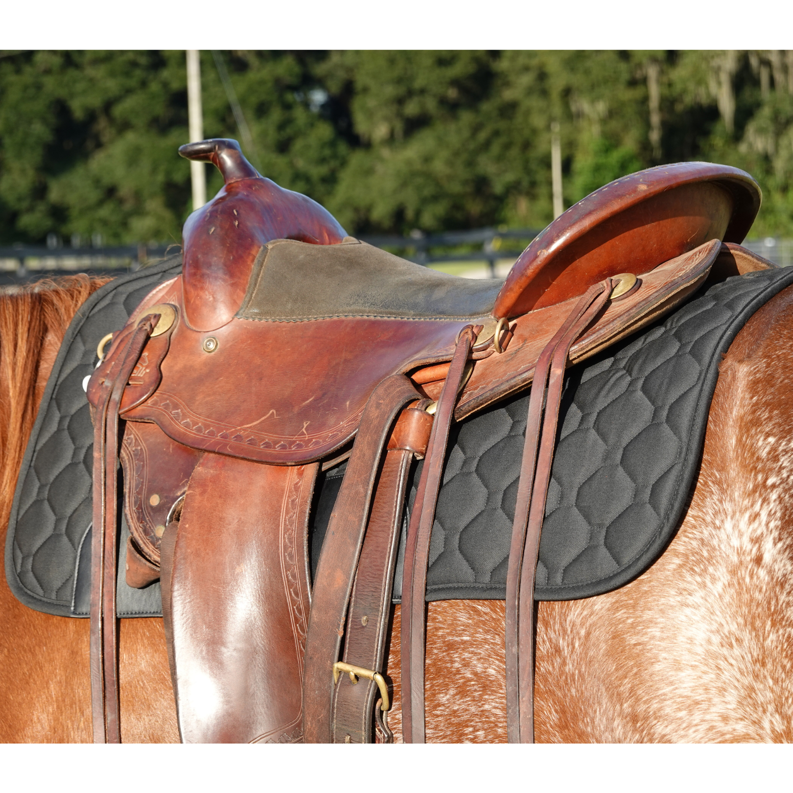 NEW! Therapeutic Western Pad - Benefab®